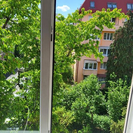 Apartament Florilor Baia Mare Luaran gambar